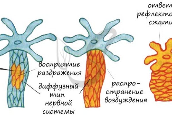 Как зайти на мега маркет