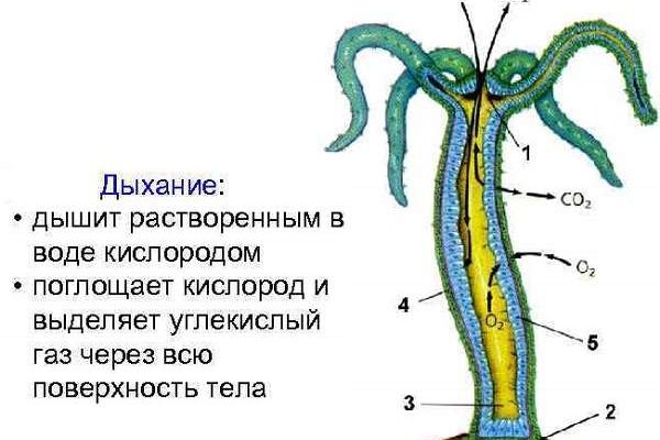 Как забанить аккаунт на блэкспрут